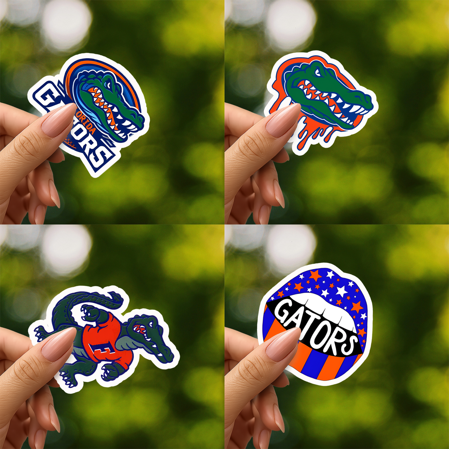 Florida Gators Football