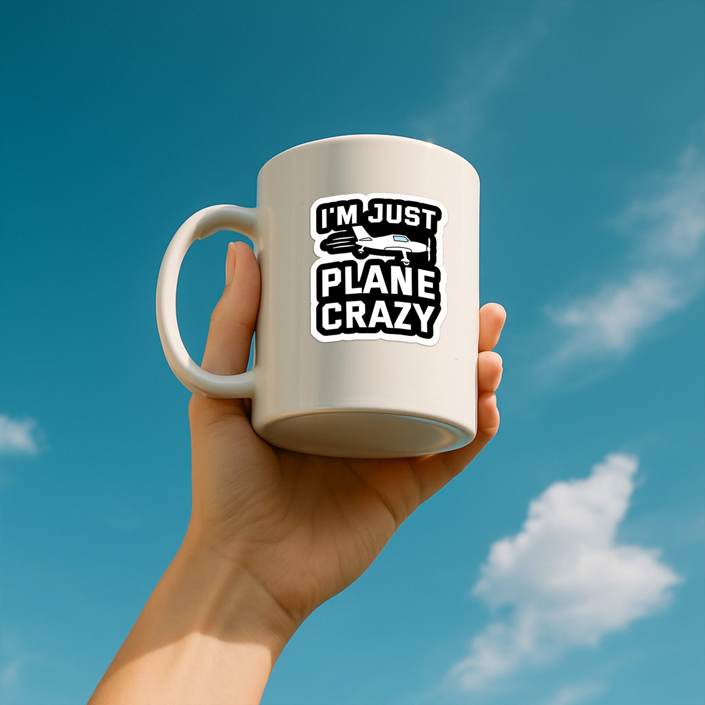Aviation Pilot