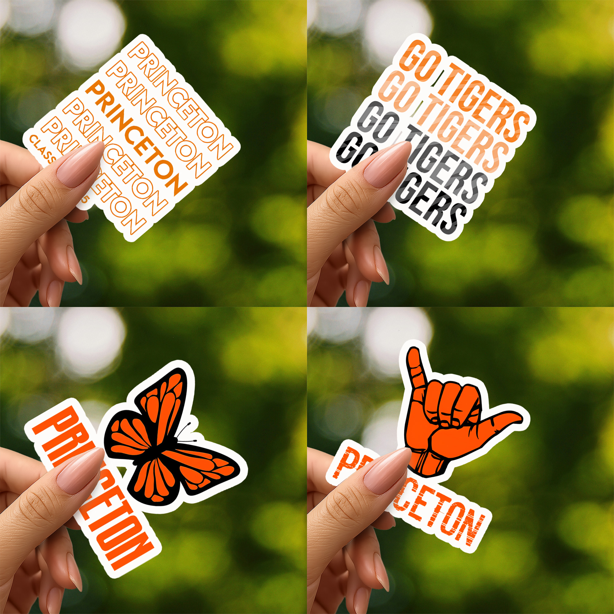 Princeton University