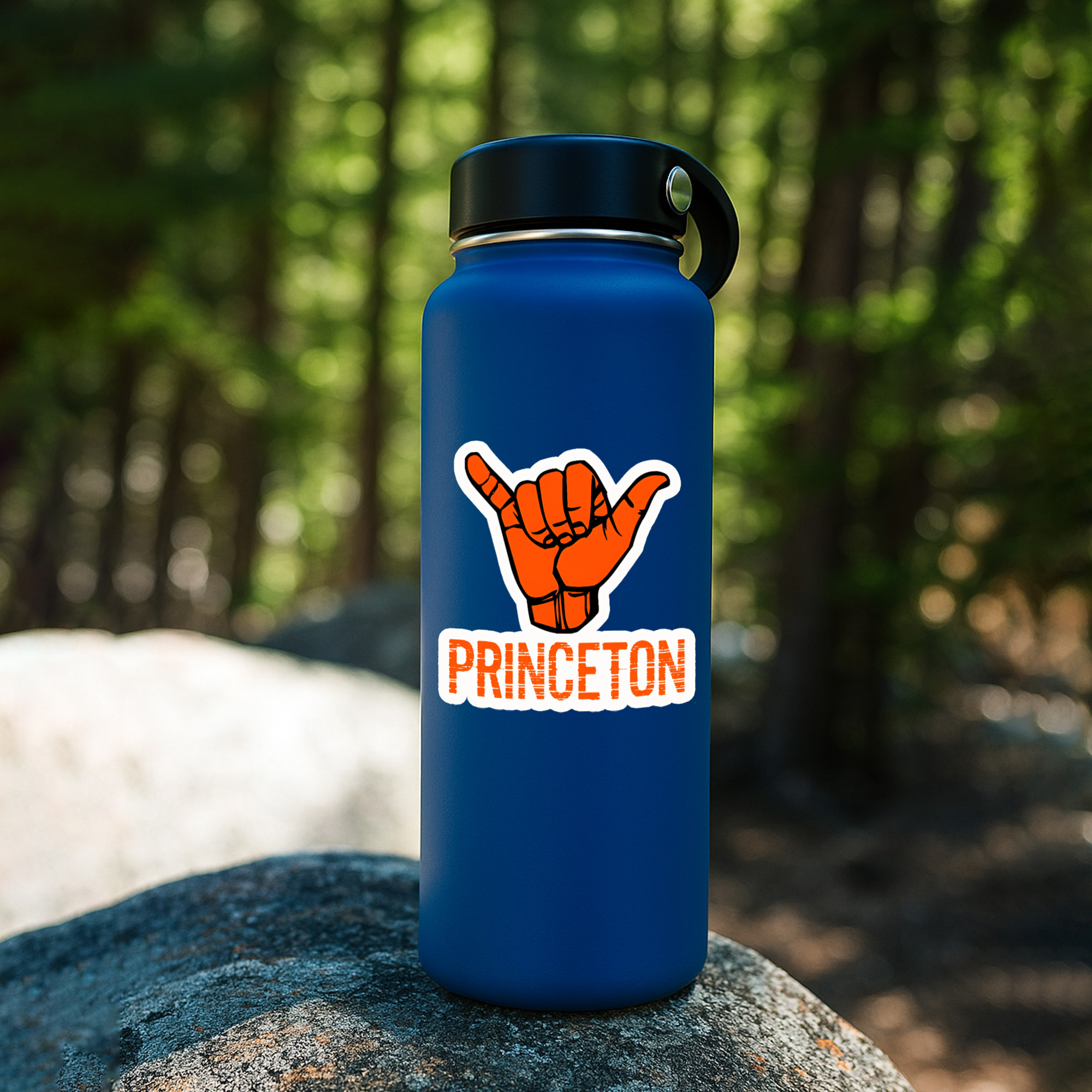 Princeton University