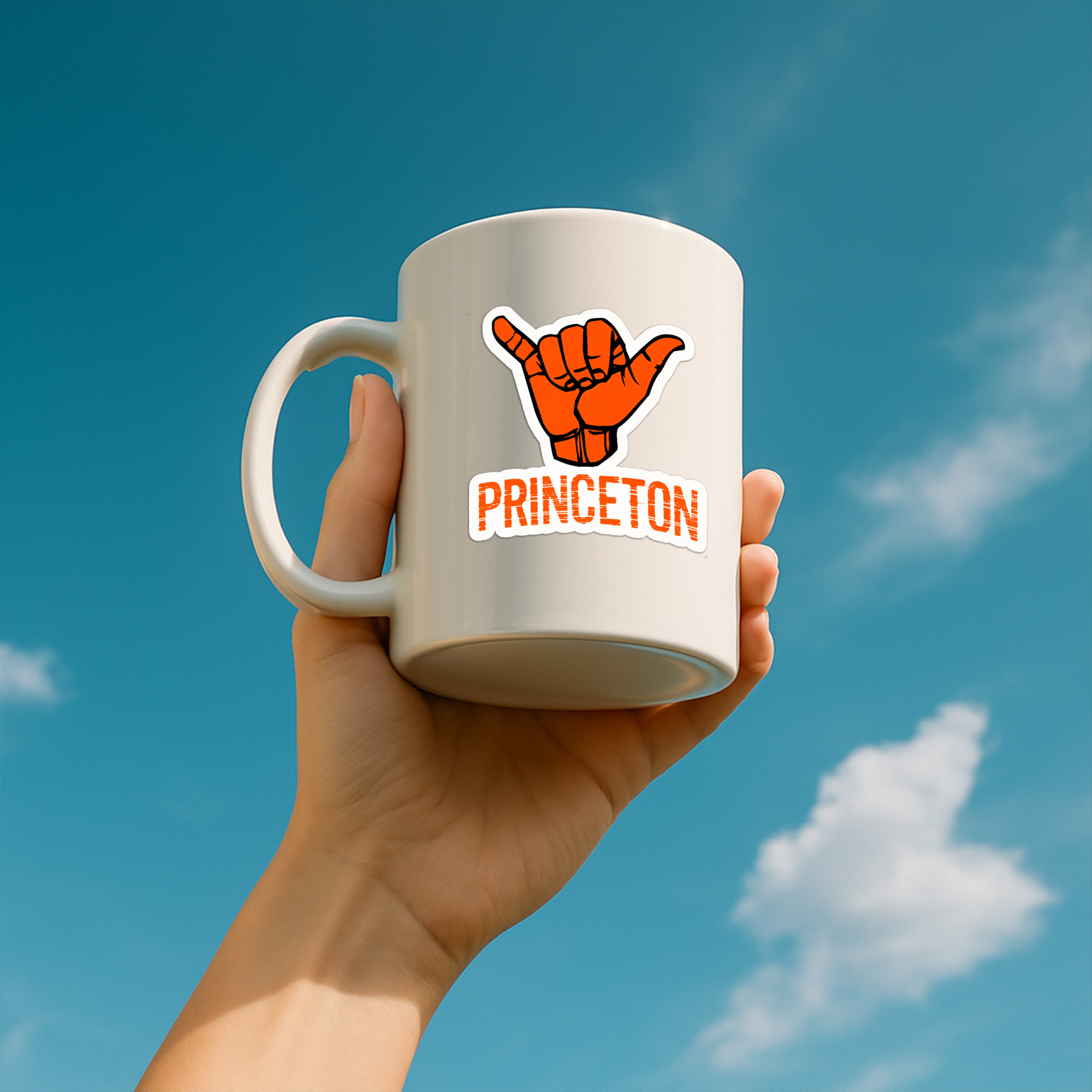 Princeton University