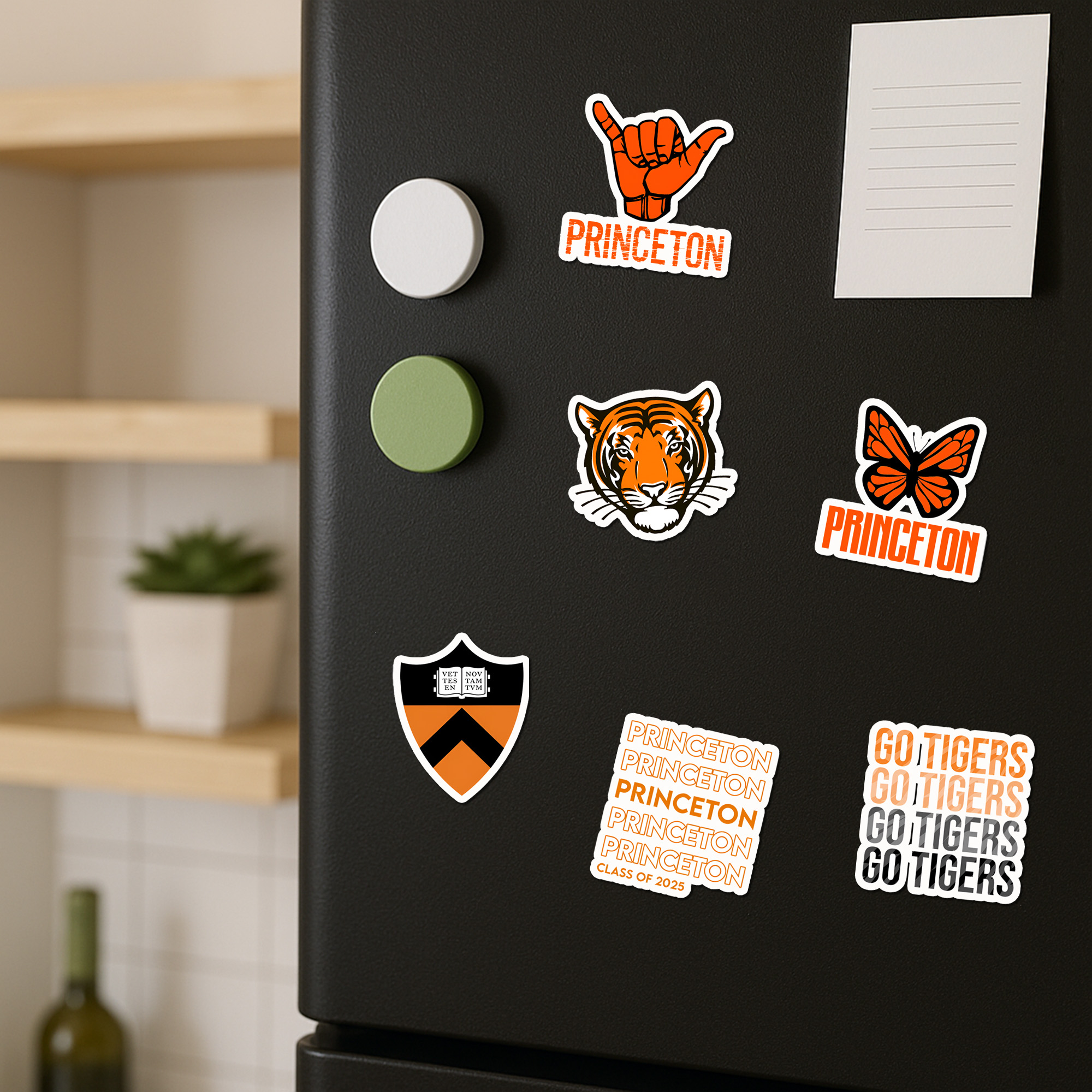 Princeton University