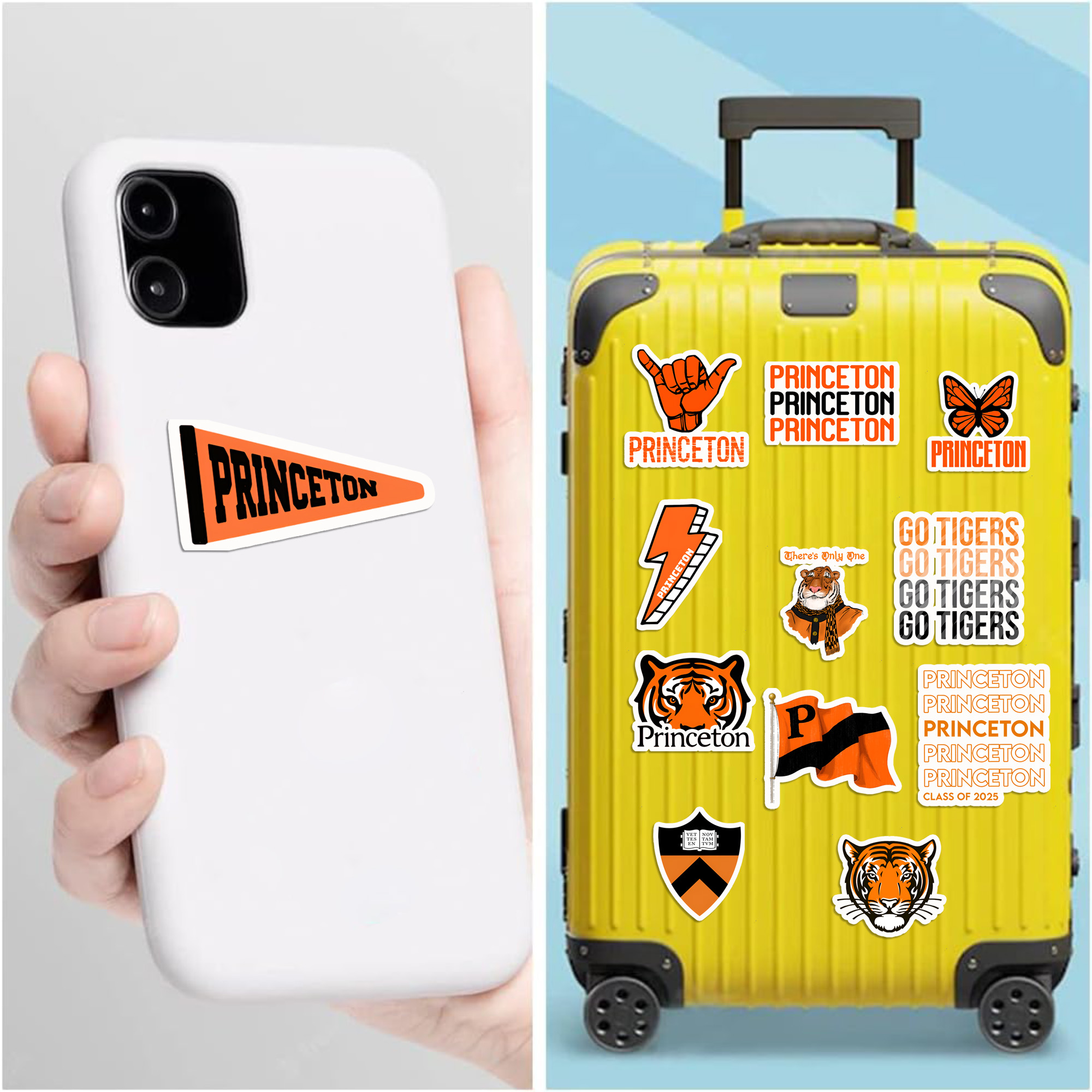 Princeton University