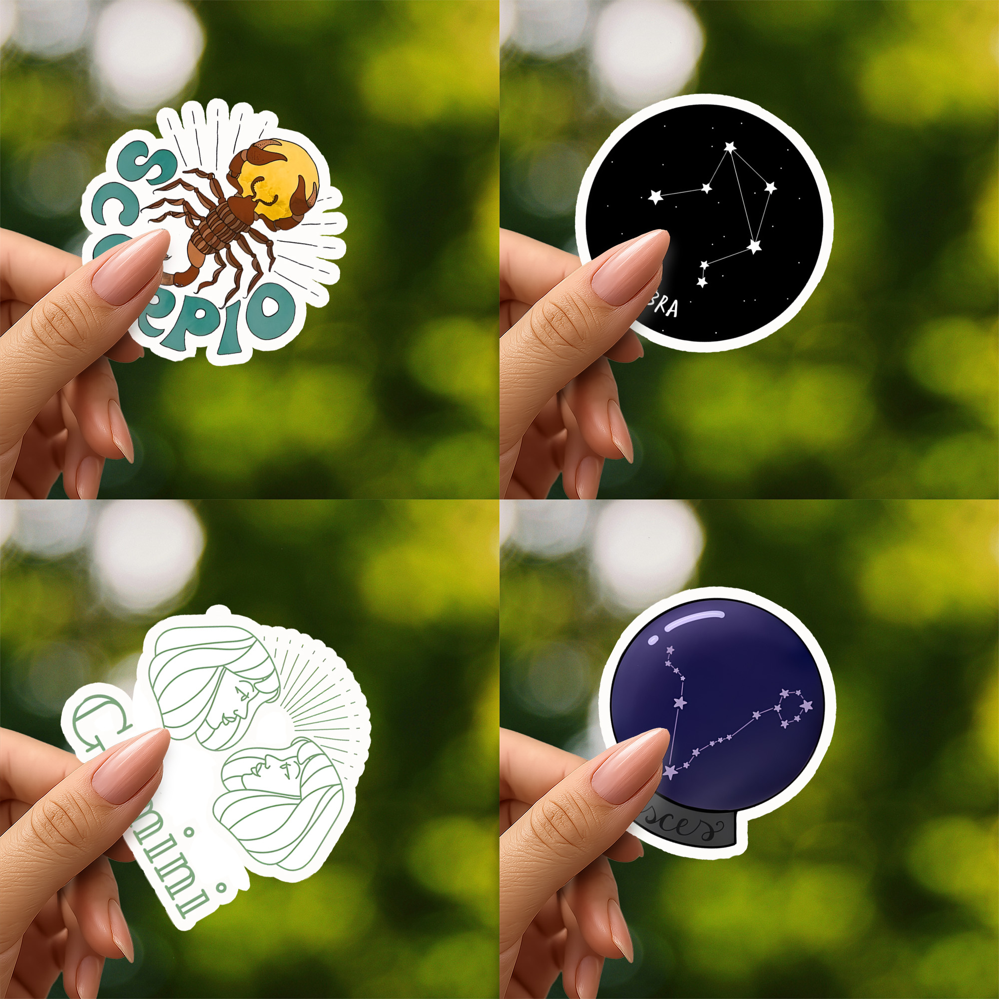 Constellation Zodiac