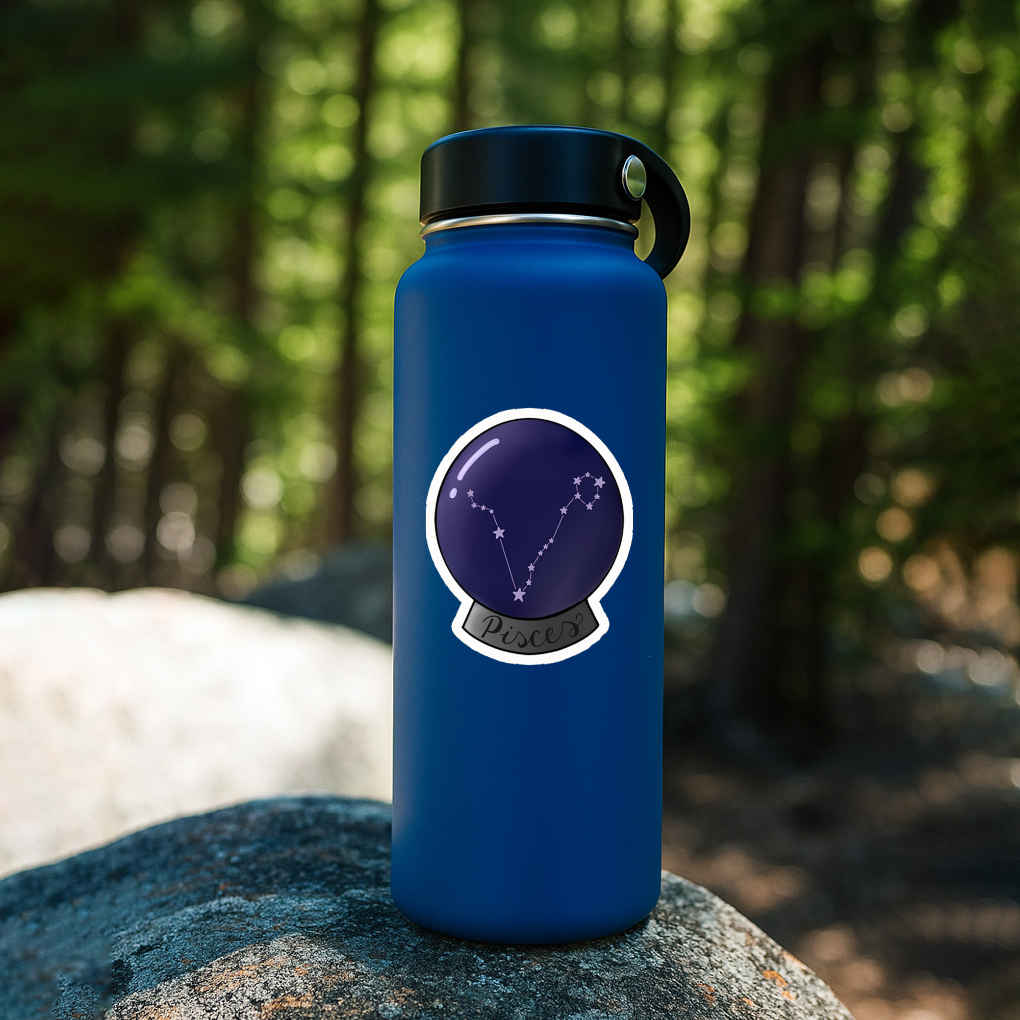 Constellation Zodiac