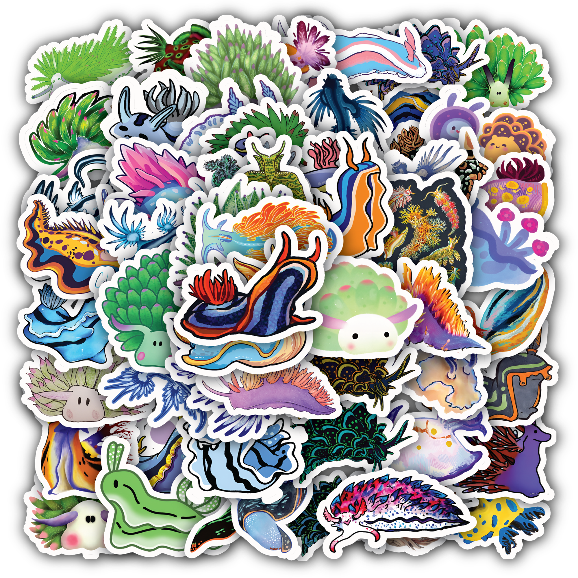 Nudibranchs Sea Slugs