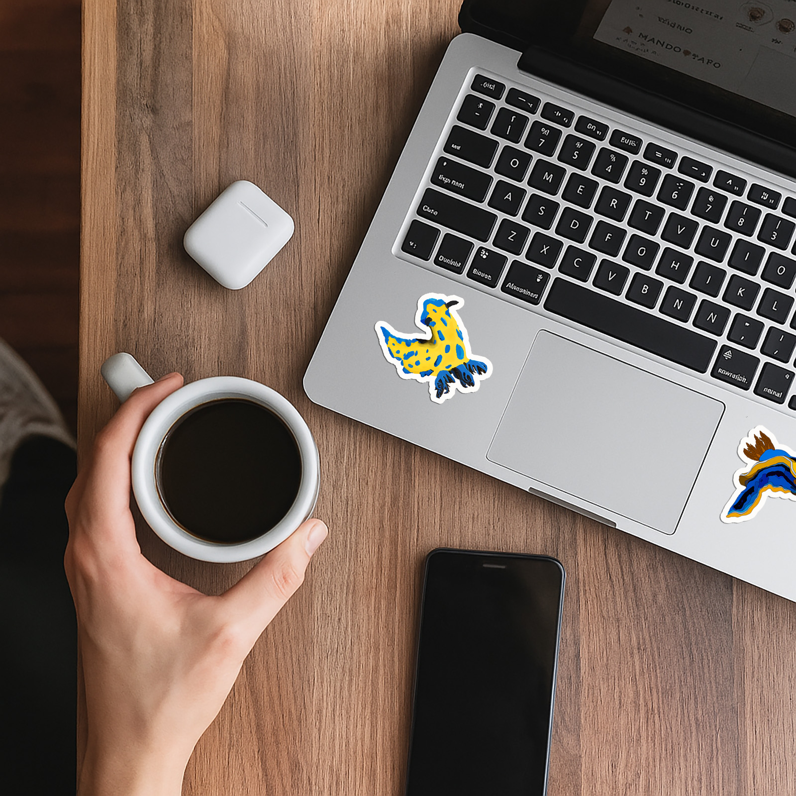 Nudibranchs Sea Slugs