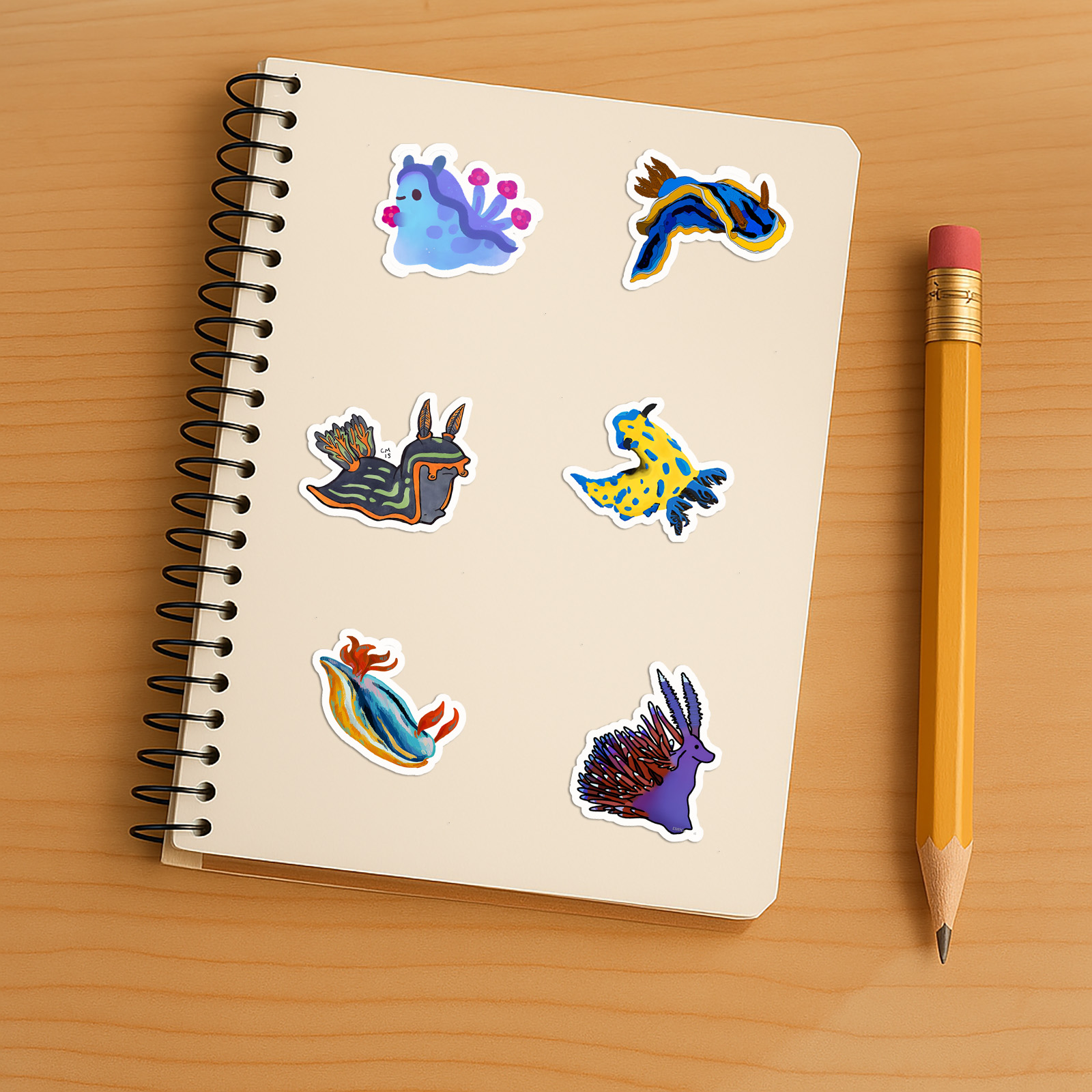 Nudibranchs Sea Slugs