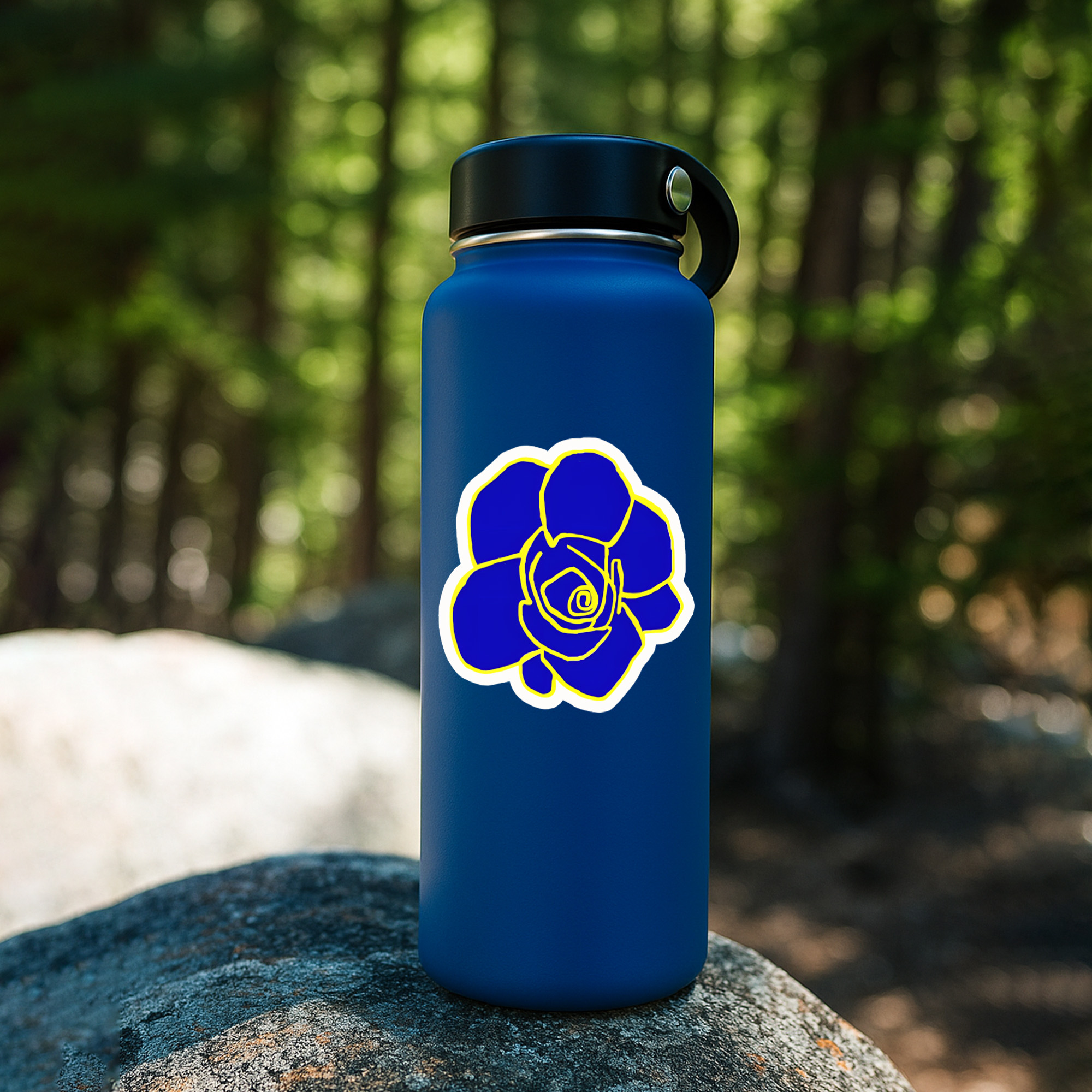 Sigma Gamma Rho Paraphernalia