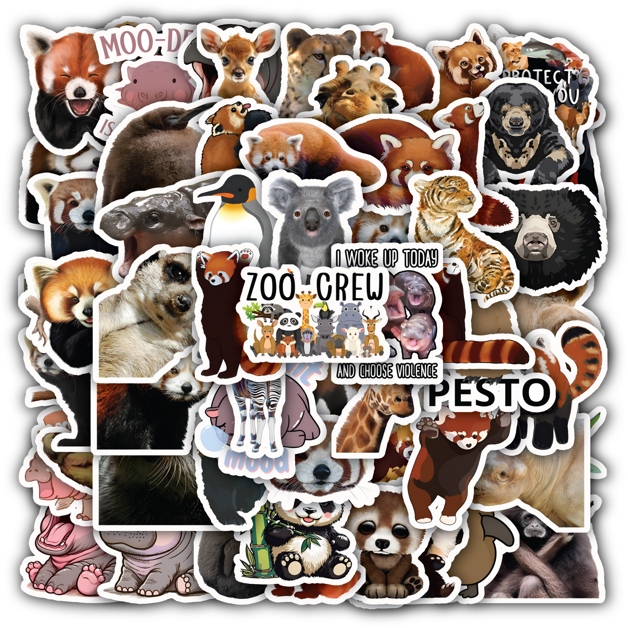 Cute Animal, Zoo Animals