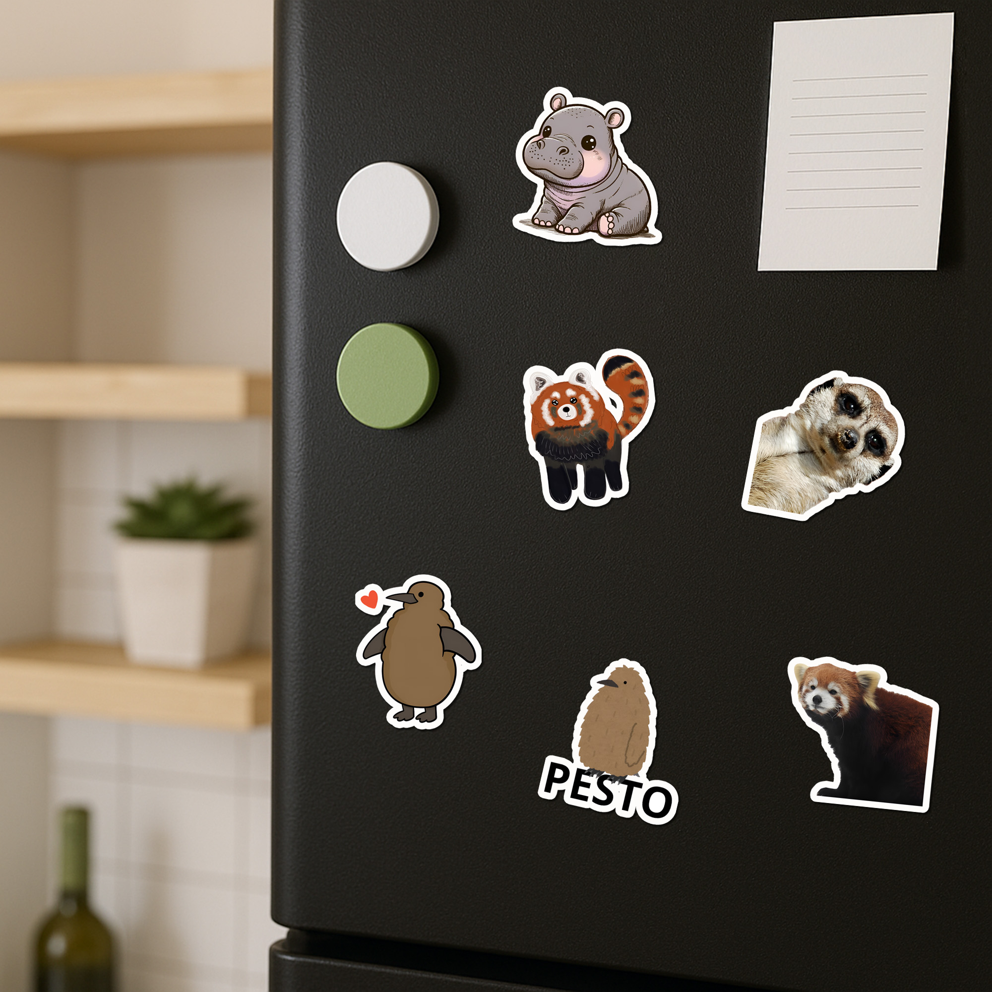 Cute Animal, Zoo Animals