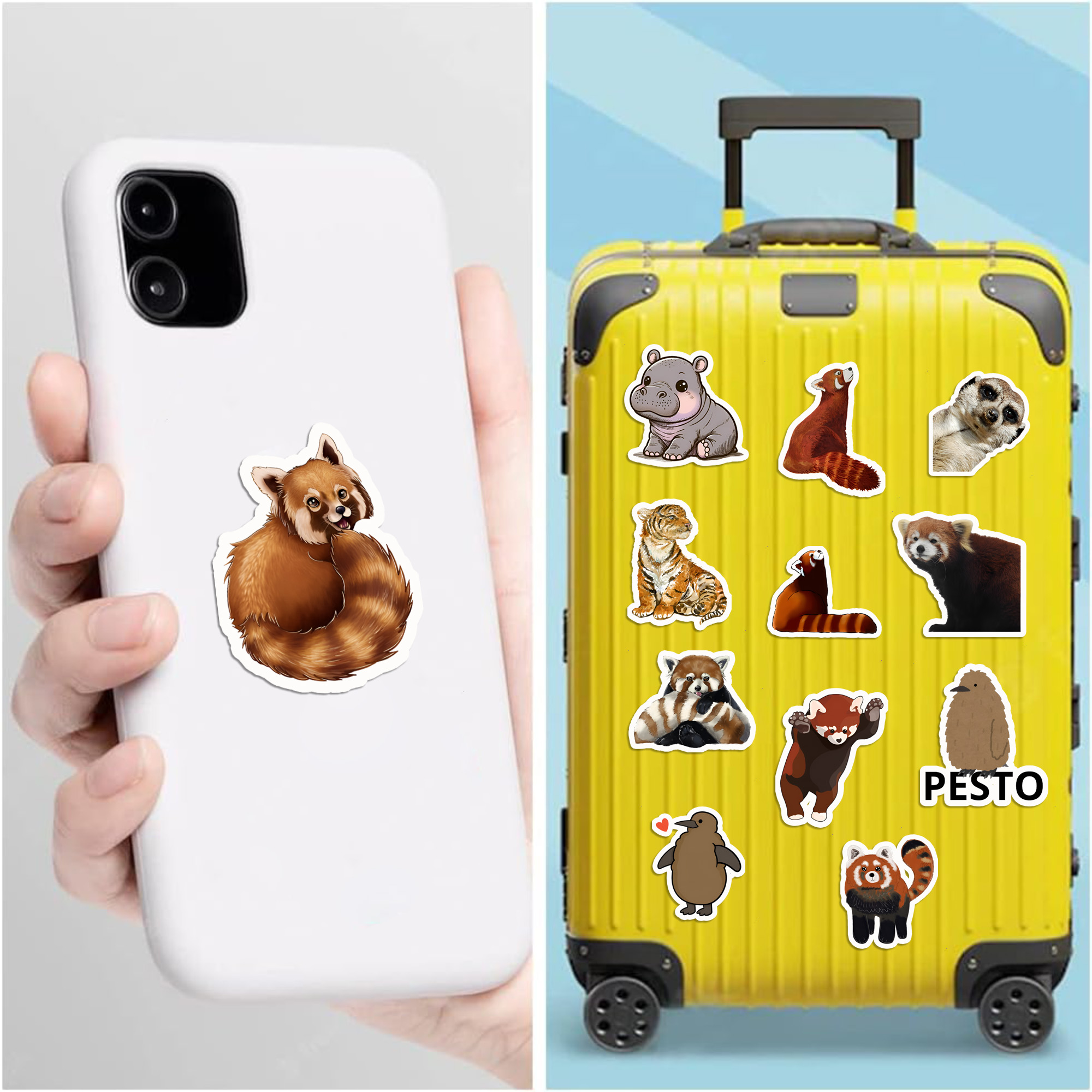 Cute Animal, Zoo Animals