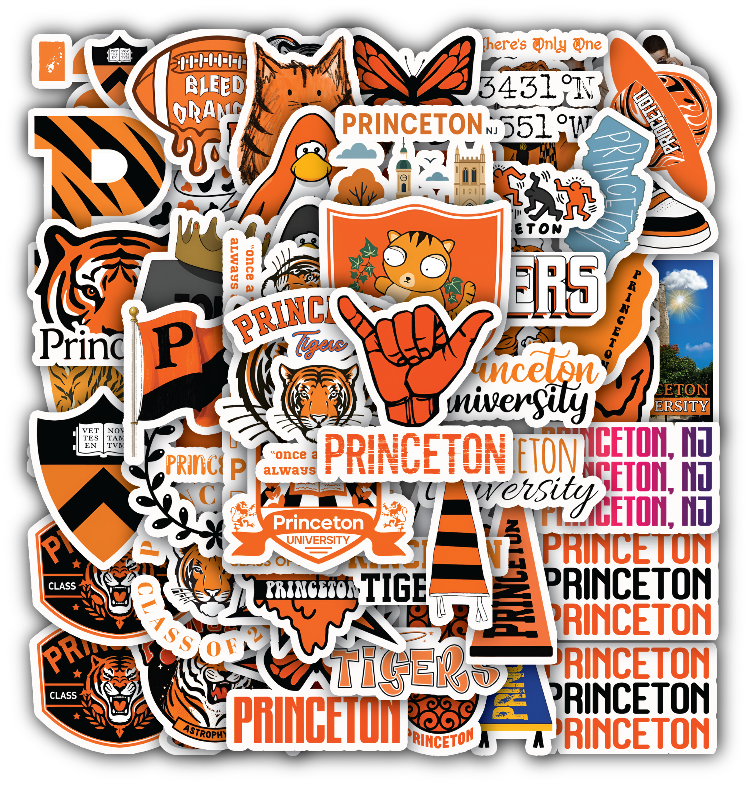 Princeton University